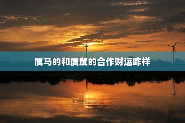 属马的和属鼠的合作财运咋样