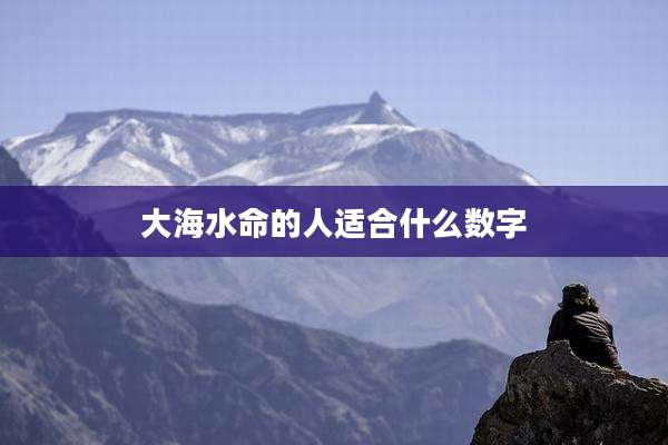大海水命的人适合什么数字
