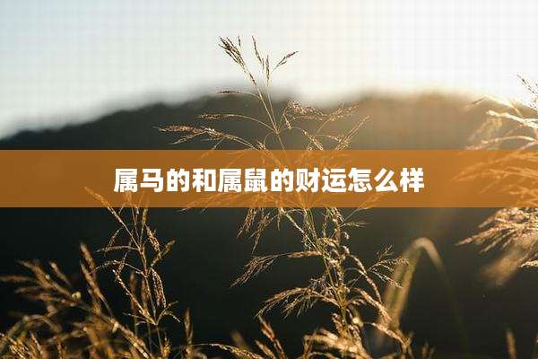 属马的和属鼠的财运怎么样