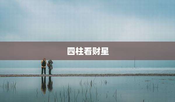 四柱看财星