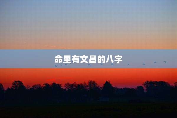 命里有文昌的八字
