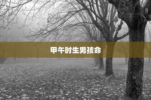 甲午时生男孩命