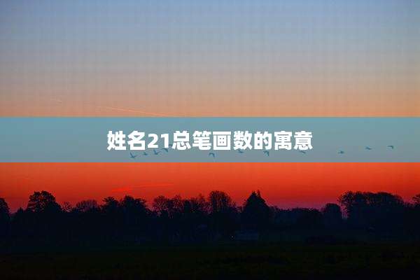 姓名21总笔画数的寓意