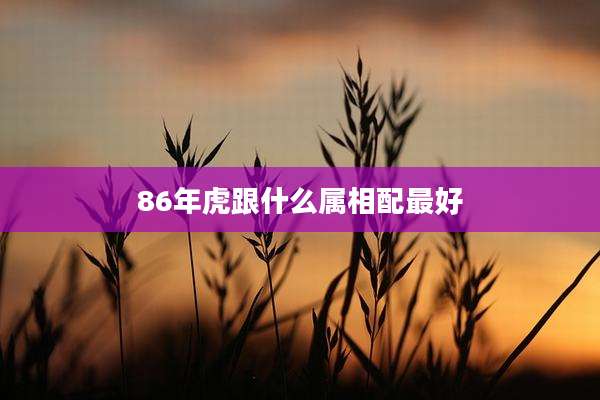 86年虎跟什么属相配最好