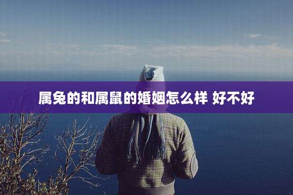 属兔的和属鼠的婚姻怎么样 好不好