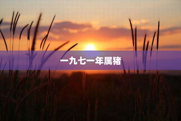 一九七一年属猪