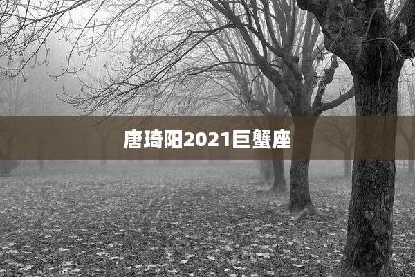 唐琦阳2021巨蟹座