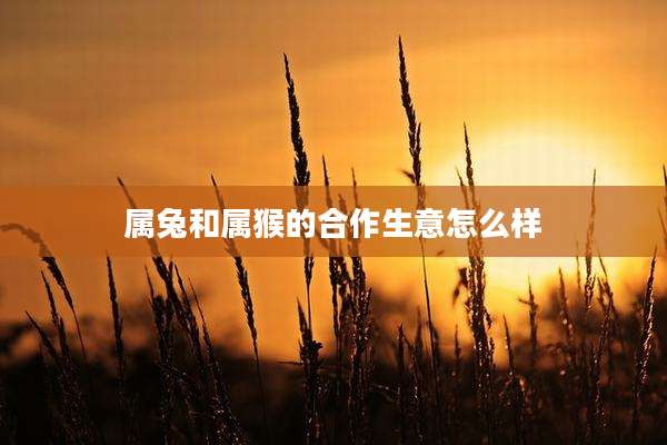 属兔和属猴的合作生意怎么样