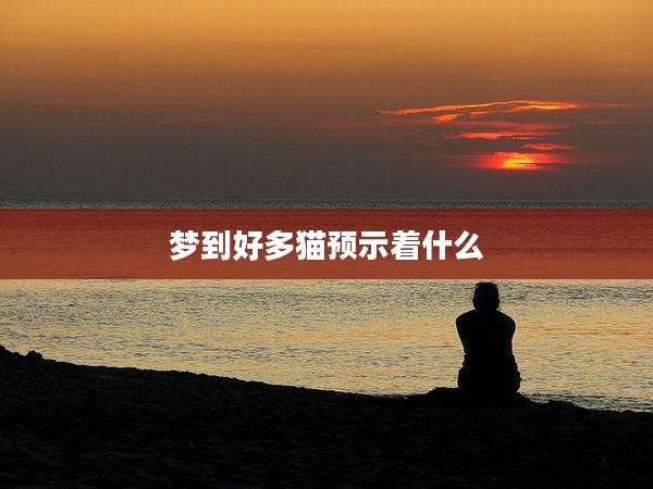 梦到好多猫预示着什么