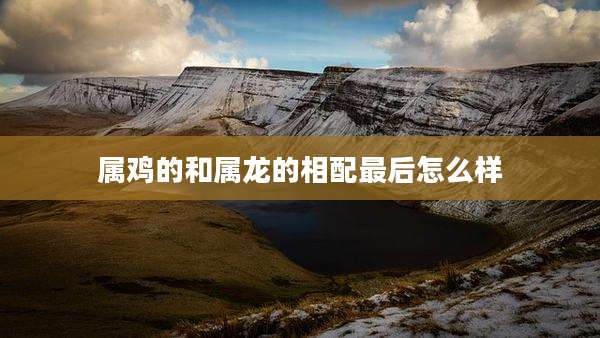 属鸡的和属龙的相配最后怎么样