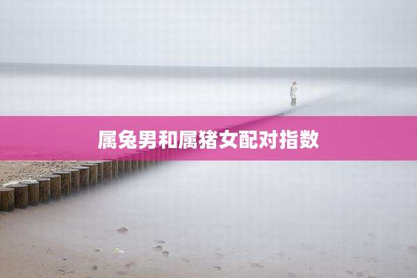 属兔男和属猪女配对指数