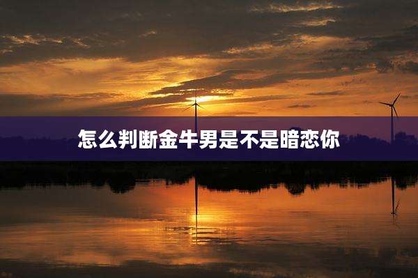 怎么判断金牛男是不是暗恋你
