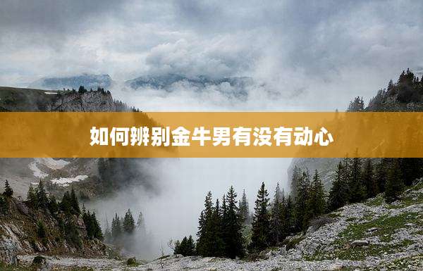 如何辨别金牛男有没有动心