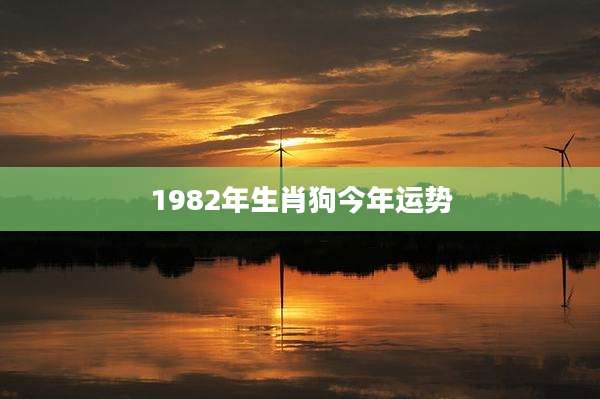 1982年生肖狗今年运势