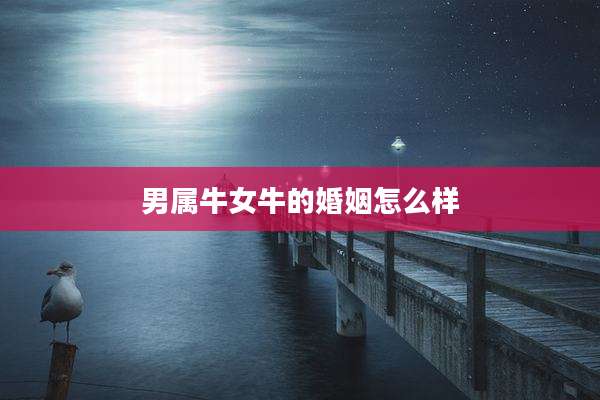 男属牛女牛的婚姻怎么样
