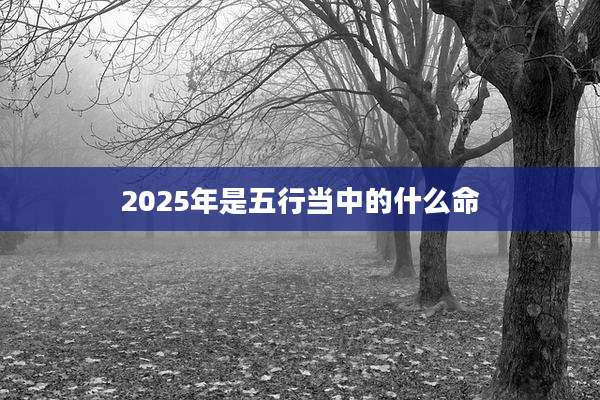 2025年是五行当中的什么命