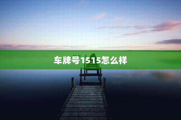 车牌号1515怎么样