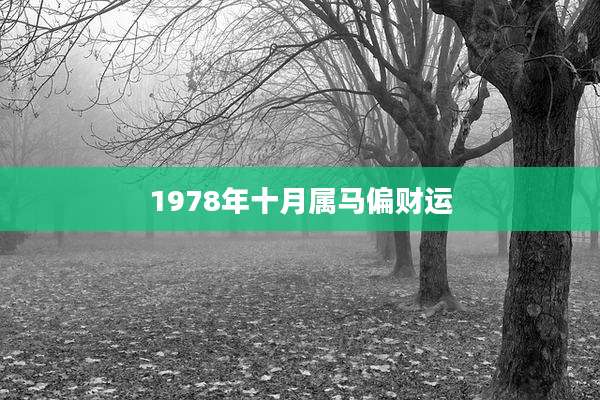 1978年十月属马偏财运