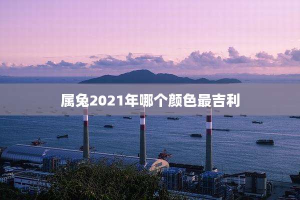 属兔2021年哪个颜色最吉利