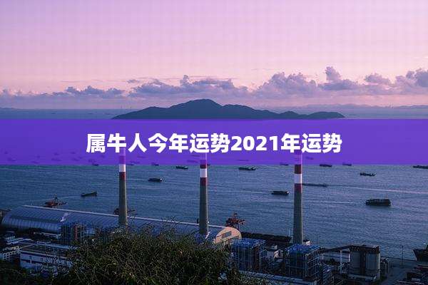 属牛人今年运势2021年运势