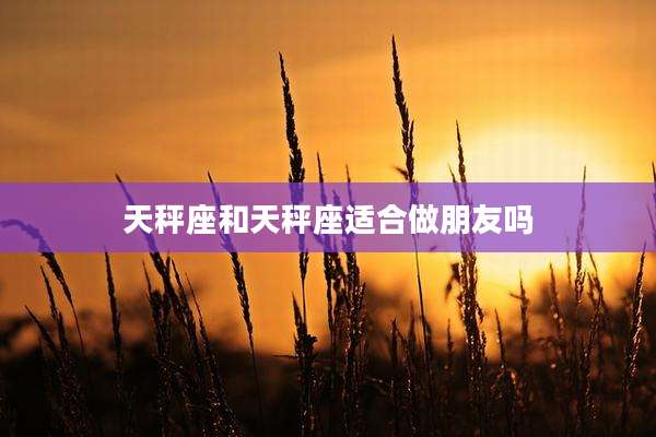 天秤座和天秤座适合做朋友吗