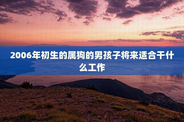 2006年初生的属狗的男孩子将来适合干什么工作