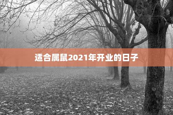 适合属鼠2021年开业的日子