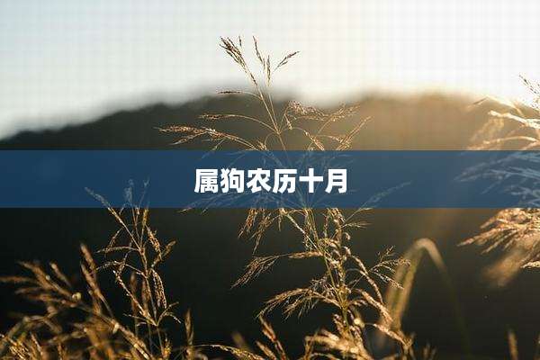 属狗农历十月