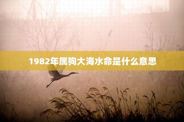 1982年属狗大海水命是什么意思