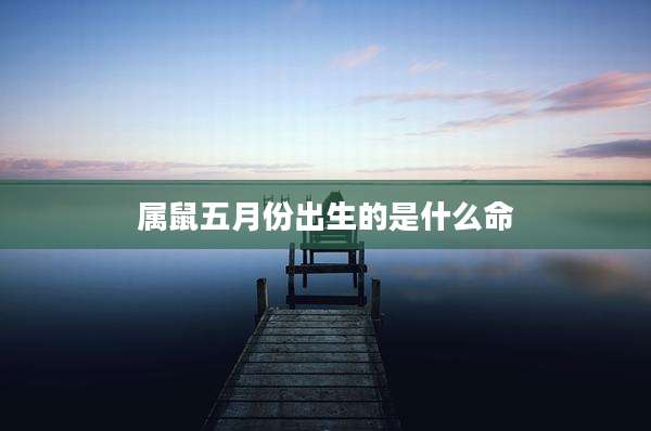 属鼠五月份出生的是什么命