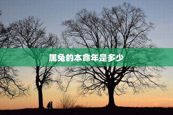 属兔的本命年是多少