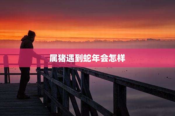 属猪遇到蛇年会怎样