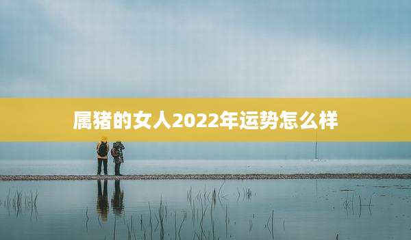 属猪的女人2022年运势怎么样