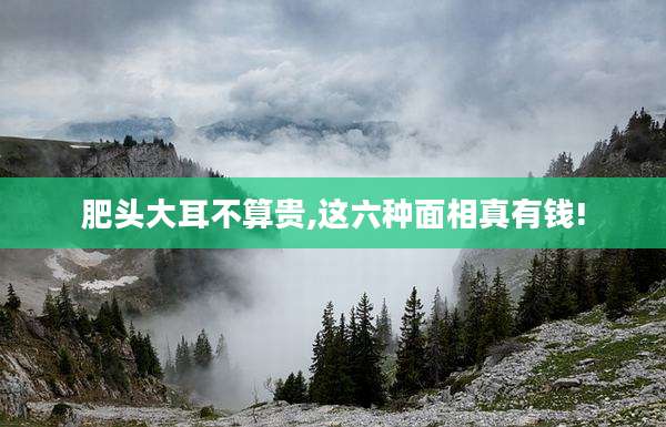 肥头大耳不算贵,这六种面相真有钱!