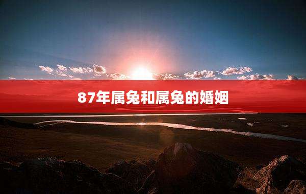 87年属兔和属兔的婚姻
