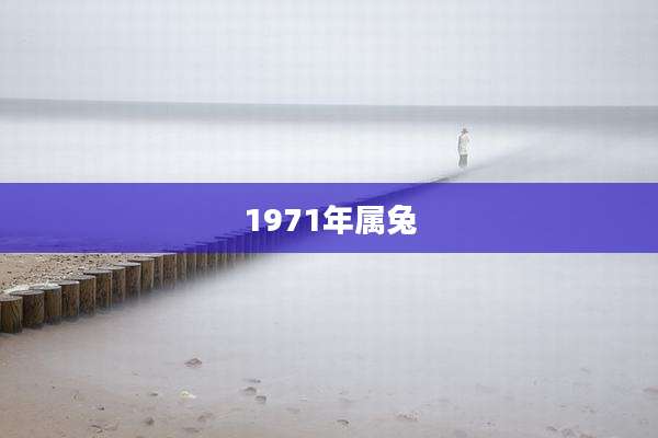 1971年属兔