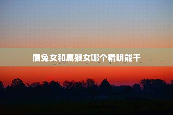 属兔女和属猴女哪个精明能干