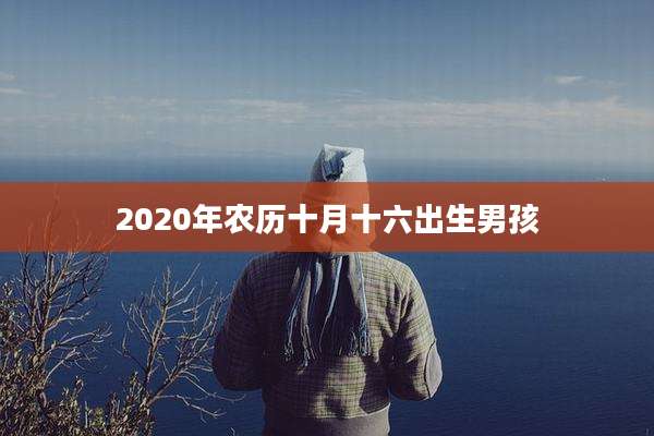 2020年农历十月十六出生男孩