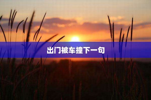 出门被车撞下一句