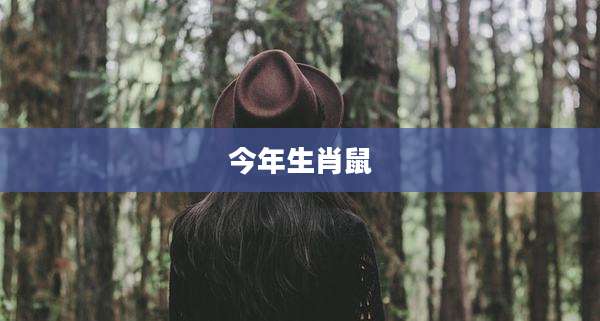 今年生肖鼠