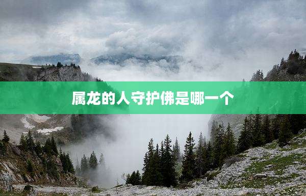 属龙的人守护佛是哪一个
