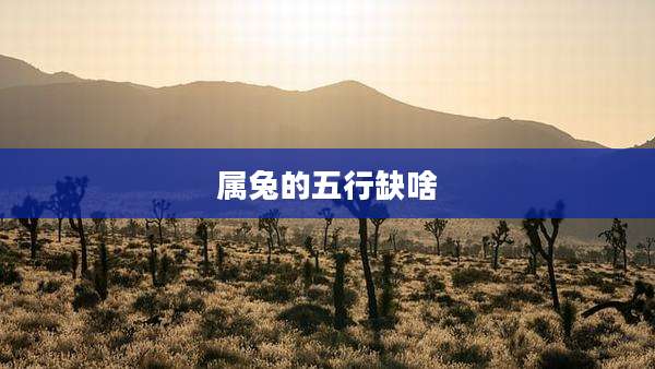 属兔的五行缺啥