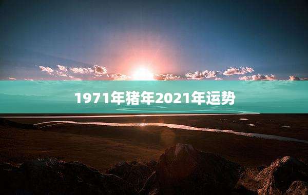 1971年猪年2021年运势