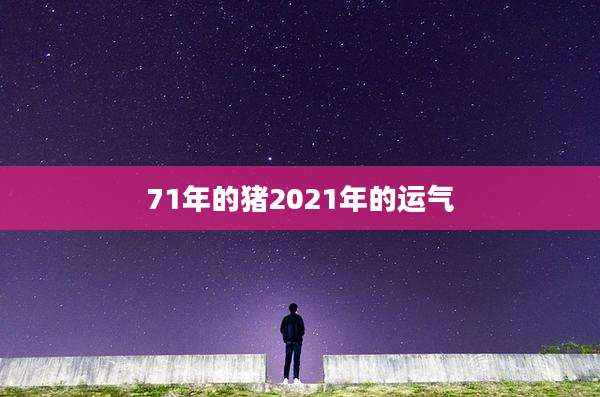 71年的猪2021年的运气