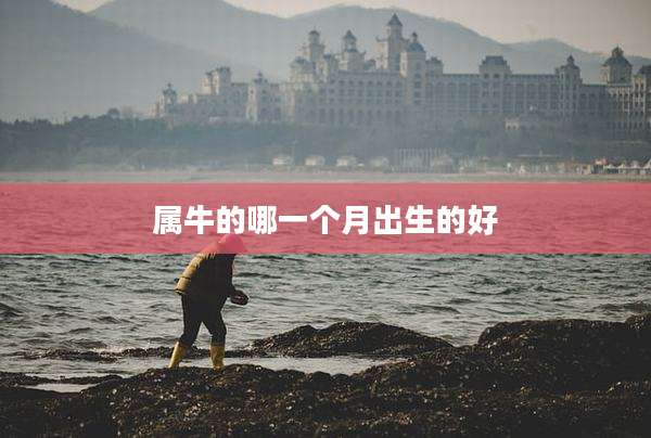 属牛的哪一个月出生的好