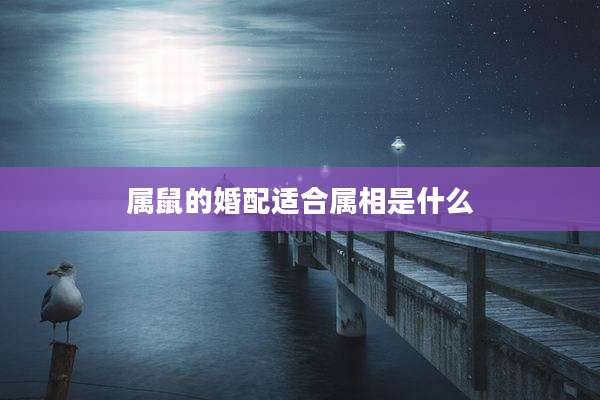 属鼠的婚配适合属相是什么
