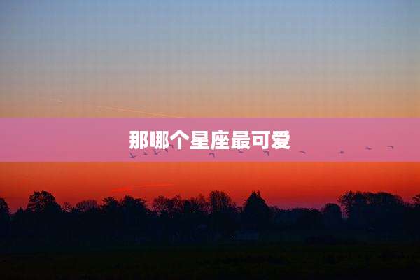 那哪个星座最可爱