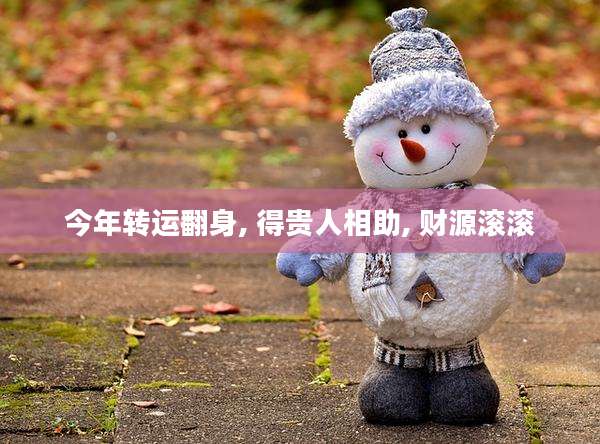 今年转运翻身, 得贵人相助, 财源滚滚