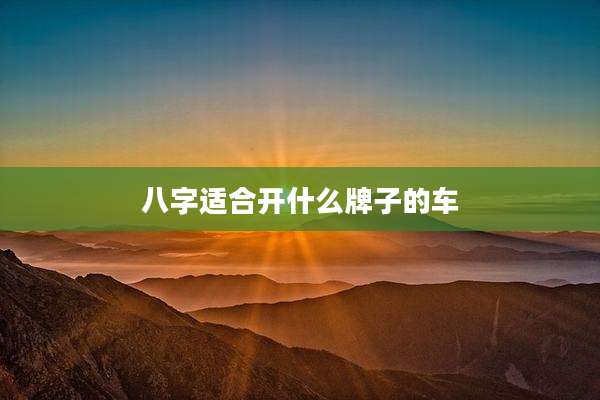 八字适合开什么牌子的车