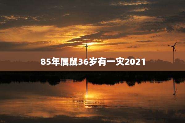 85年属鼠36岁有一灾2021